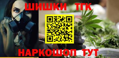 МДПВ Камышлов