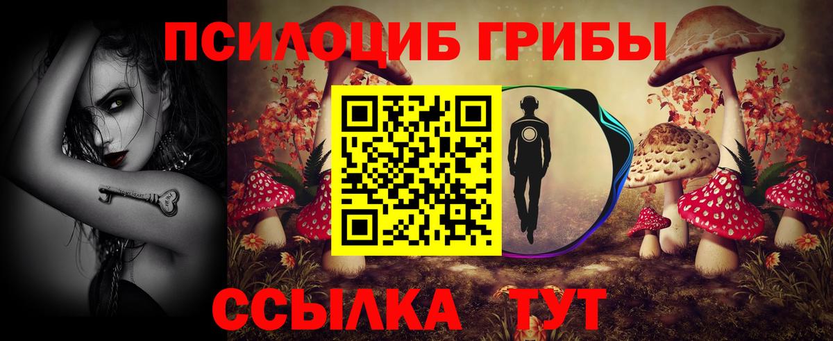 Псилоцибиновые грибы Psilocybe  Вход с VPN  Ростов Великий 