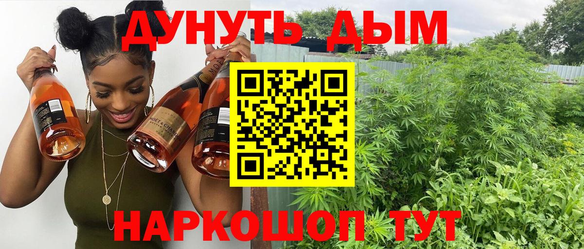 Конопля OG Kush  Вход с VPN  Бошки марихуана Ganja  Ростов Великий 